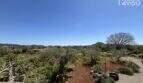 Spacious property with olive trees, red earth and view of hills near Felanitx, Mallorca.
