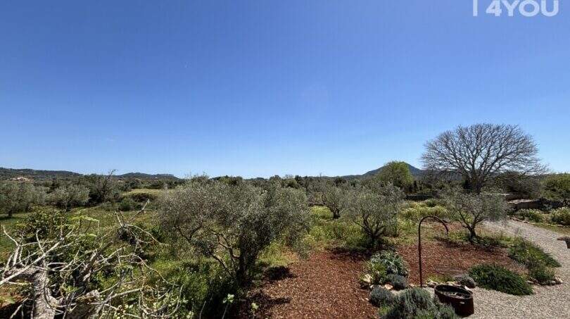 Spacious property with olive trees, red earth and view of hills near Felanitx, Mallorca.