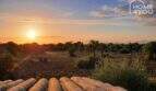 Sunset over the 4,000 sqm finca property near Felanitx with olive trees and traditional tile roof.