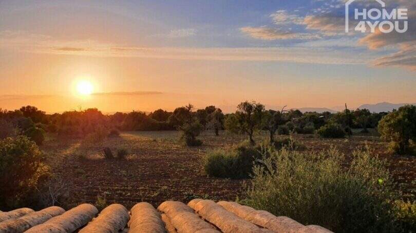 Sunset over the 4,000 sqm finca property near Felanitx with olive trees and traditional tile roof.