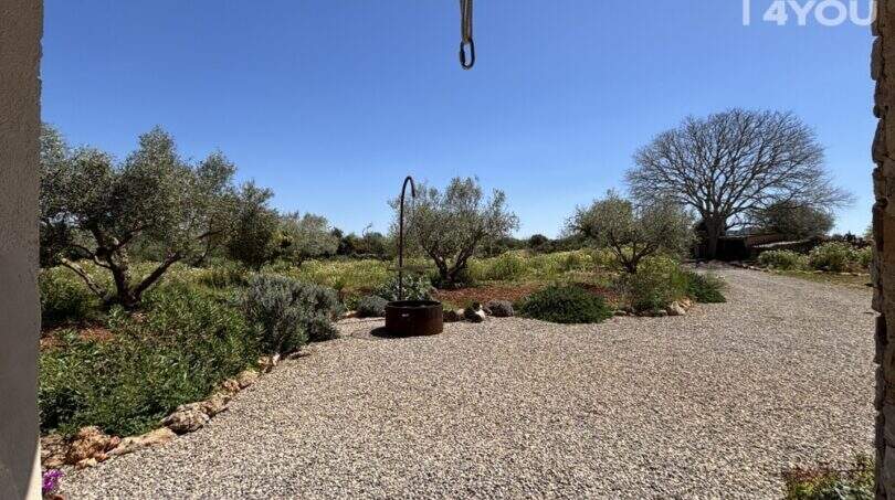 Gravelly outdoor area of Finca Felanitx with fireplace, olive trees and Mediterranean planting under blue sky.