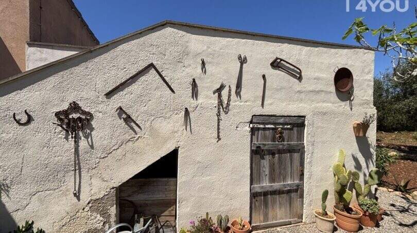 Rustic outbuilding of Finca Felanitx with wooden door, antique tools, cacti and Mediterranean charm.