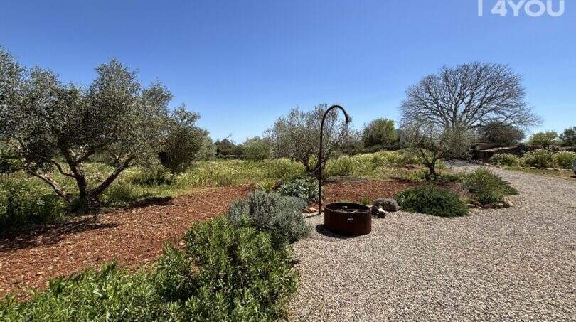 Natural garden of the Felanitx finca with olive trees, herbs, fireplace and gravel path under blue sky.