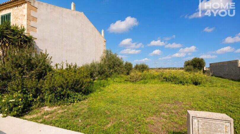 Baugrundstück 391m² in Ses Salines mit Grünfläche, Olivenbäumen und angrenzendem Steinhaus unter blauem Himmel.