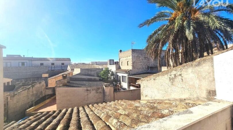 Dachterrasse mit Blick auf historische Steinhäuser und Palmen im mallorquinischen Stadtkern von Petra
