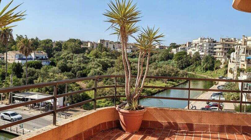 Sonnige Dachterrasse mit Yucca-Pflanze, Blick auf den Hafen von Porto Cristo und üppige Vegetation.