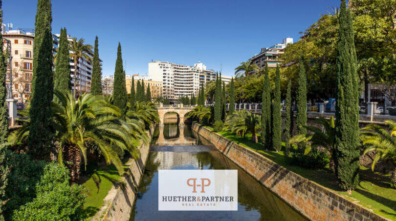 Stadtkanal in Palma de Mallorca mit Palmen, Zypressen und historischer Brücke – zentrale Lage der Neubau-Wohnung Cor 39
