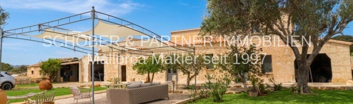 Außenansicht Landhaus Mallorca: Rustikale Natursteinfassade mit gepflegtem Rasen, Sonnensegel-Terrasse und altem Olivenbaum