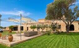 Exterior view of Mallorca country house: Rustic natural stone facade with well-maintained lawn, sail terrace and old olive tree