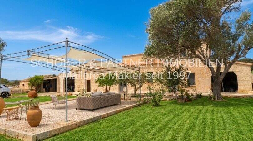 Außenansicht Landhaus Mallorca: Rustikale Natursteinfassade mit gepflegtem Rasen, Sonnensegel-Terrasse und altem Olivenbaum