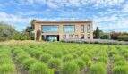 Exterior view modern design house S'Alqueria Blanca with large glass fronts, lush garden and lavender beds