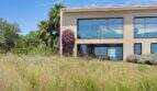Exterior view modern design house S'Alqueria Blanca with bougainvillea, palm and large glass fronts
