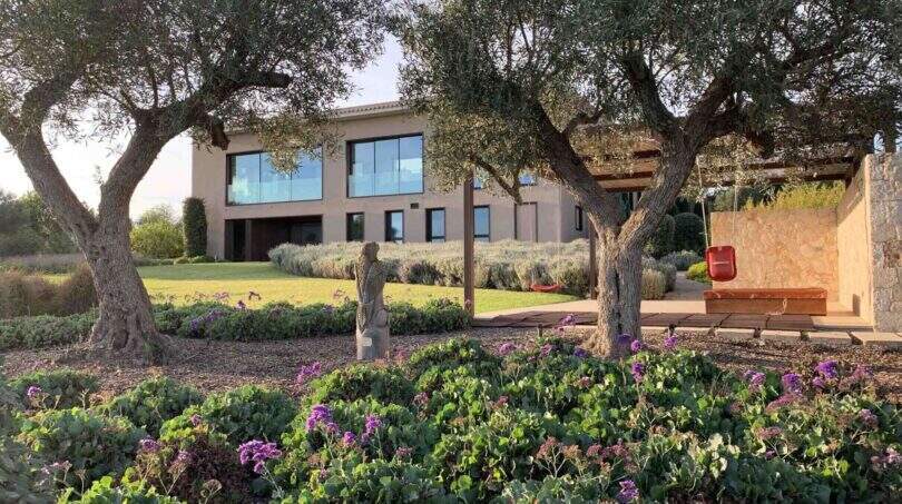 Garden with olive trees and purple flowers in front of modern design house in S'Alqueria Blanca