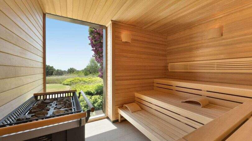 Luxury sauna with wooden cladding, sauna stove and large window with garden view in modern design house