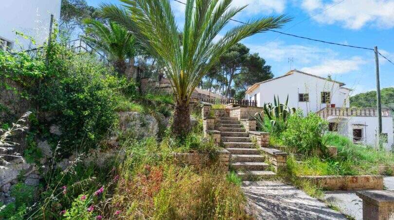 Verwilderter Garten mit Steintreppe, Palme und weißer Villa in Cala Figuera, Mallorca