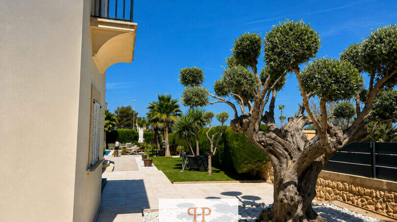 Gepflegter Außenbereich der Villa Sa Torre mit altem Olivenbaum, Palmen, Rasen und Terrasse