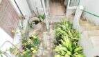 Innenpatio des Dorfhauses in Felanitx mit Pflanzen, Treppe zur Dachterrasse und Zugang zum Innenbereich.