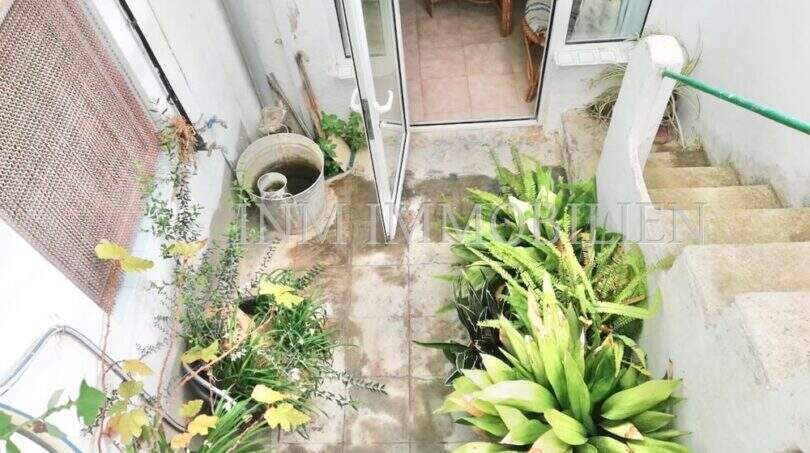 Innenpatio des Dorfhauses in Felanitx mit Pflanzen, Treppe zur Dachterrasse und Zugang zum Innenbereich.