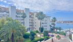Außenansicht Apartment Palmanova: Wohnanlage mit Palmen, gepflegtem Garten und Meerblick auf den Hafen.