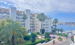Vista exterior del apartamento Palmanova: complejo residencial con palmeras, jardín cuidado y vista al puerto del mar.