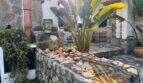 Mediterraner Innenhof mit Buddha-Brunnen, Natursteinmauern und tropischen Pflanzen in der Wohlfühloase Cala Murada