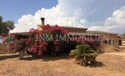 Exterior view of the finca in Llucmajor with flowering bougainvillea, stone walls, tile roof and palm tree in the front garden.