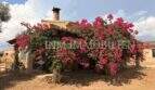 Rustikale Finca in Llucmajor mit üppiger Bougainvillea-Bepflanzung an der Steinfassade und Schornstein.