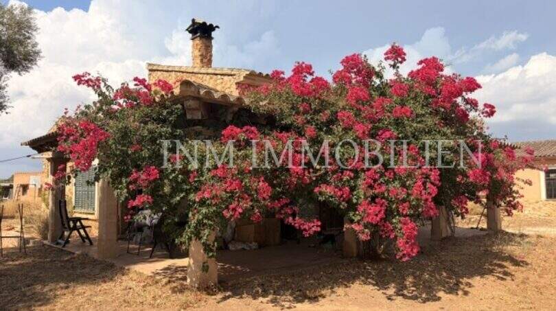 Rustikale Finca in Llucmajor mit üppiger Bougainvillea-Bepflanzung an der Steinfassade und Schornstein.