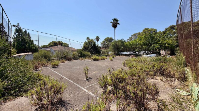 Overgrown tennis court with weeds and rusty fences, surrounded by palms and vegetation in Porto Cristo.