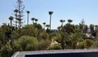 View from the roof of the villa over lush garden with palms and pines in Porto Cristo