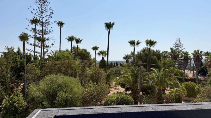 View from the roof of the villa over lush garden with palms and pines in Porto Cristo