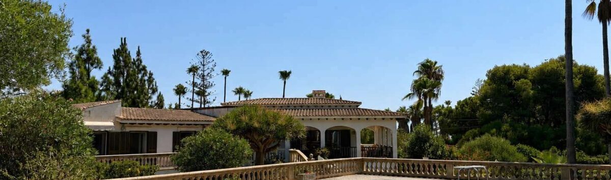 Large outdoor pool of the retro villa in Porto Cristo with Mediterranean balustrade and palm garden