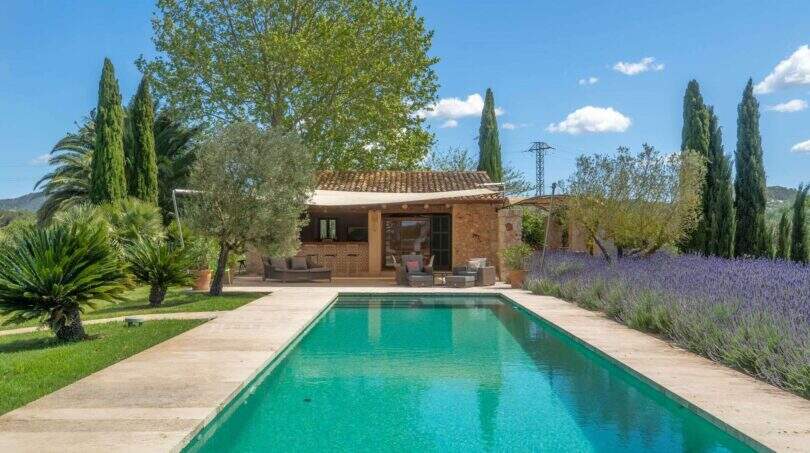 Felanitx finca: Long pool with natural stone house, lavender, cypress trees and olive trees under blue sky