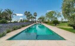 Piscina infinita con arriates de lavanda y palmeras de la finca exclusiva en Felanitx