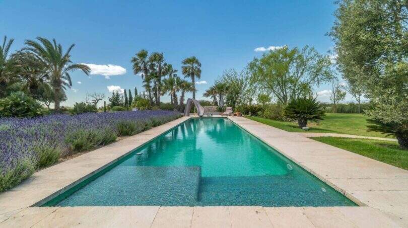Infinity pool with lavender beds and palms of the exclusive Finca in Felanitx