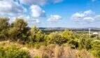 Panoramablick über grüne Hügellandschaft mit Bergkette, typische Vegetation Mallorcas, Grundstück Capdepera
