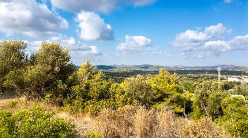 Panoramablick über grüne Hügellandschaft mit Bergkette, typische Vegetation Mallorcas, Grundstück Capdepera
