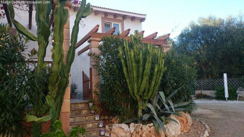 Exterior view of Cala Murada chalet with large cacti, wooden pergola and Mediterranean garden