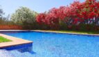 Blauer Pool der Finca bei Felanitx, umgeben von blühenden Oleanderbüschen in Rosa und Weiß