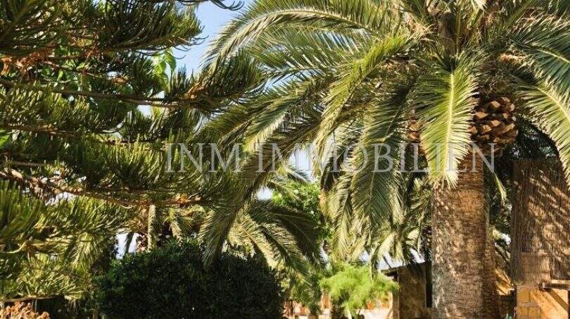 Gepflegter Garten mit Palmen und Bäumen des rustikalen Hauses in S'Aranjassa, Palma de Mallorca.