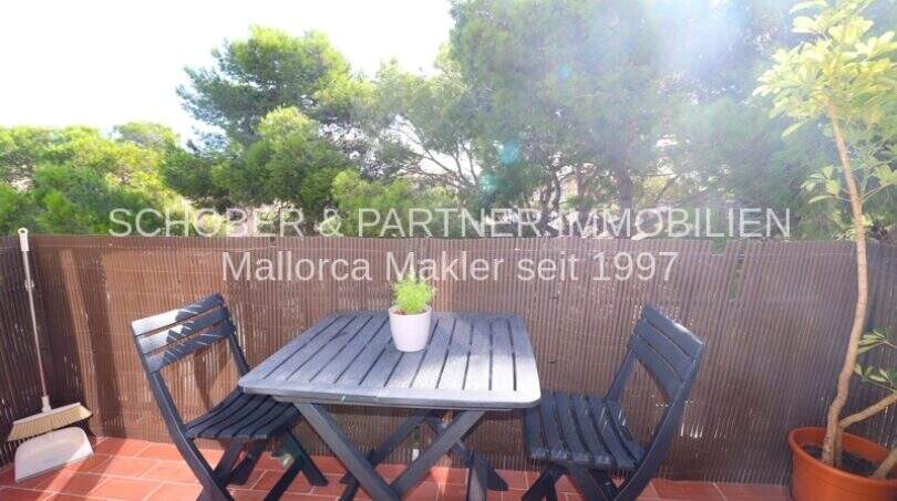 Terraza soleada con muebles de jardín y vista verde en ubicación tranquila, cerca del mar en Porto Cristo.