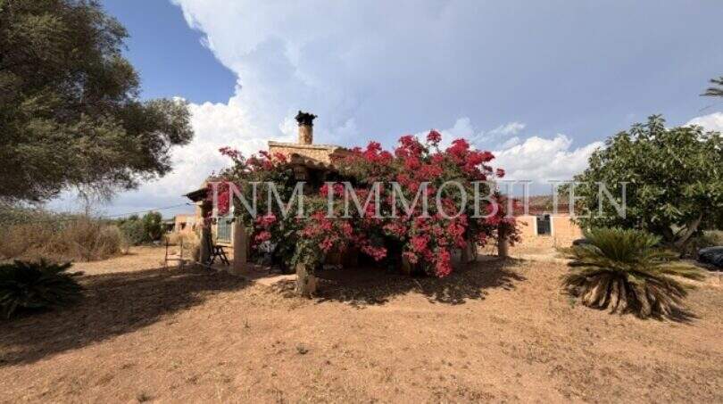 Rustikale Finca in Llucmajor mit üppiger Bougainvillea-Bepflanzung, Kamin und mediterranem Garten.