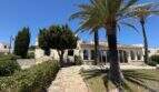Mediterrane Villa in Cala Murada mit Palmen, Steinweg und gepflegtem Garten unter blauem Himmel.