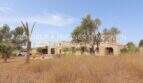 Außenansicht Landhaus Mallorca: Rustikales Natursteingebäude mit Palmen, mediterraner Vegetation und weitläufigem Grundstück.