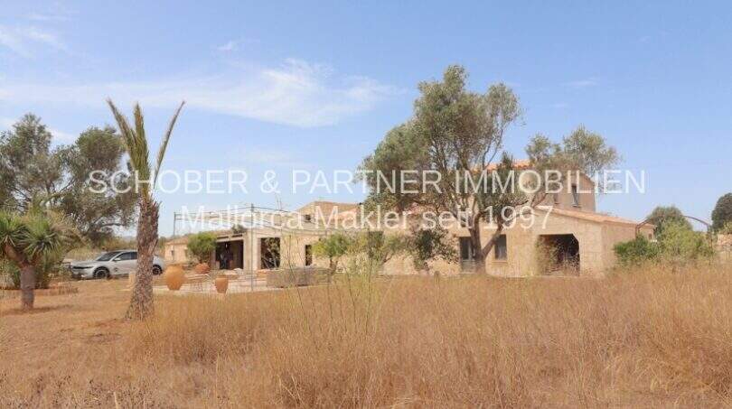 Außenansicht Landhaus Mallorca: Rustikales Natursteingebäude mit Palmen, mediterraner Vegetation und weitläufigem Grundstück.
