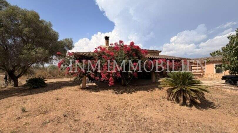 Außenansicht der Finca in Llucmajor mit üppiger Bougainvillea, Terrassenüberdachung und mediterranem Garten.