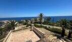 Dachterrasse der Meerblick-Villa in Cala Murada mit Balustrade, Palmen und direktem Blick aufs Mittelmeer.