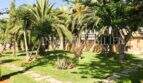 Gepflegter Garten mit Palmen, Aloe Vera und Natursteinweg des rustikalen Hauses in S'Aranjassa, Palma