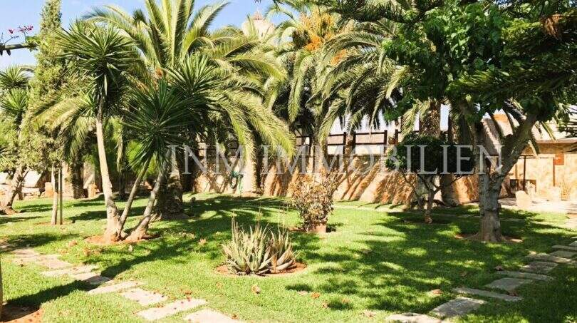 Gepflegter Garten mit Palmen, Aloe Vera und Natursteinweg des rustikalen Hauses in S'Aranjassa, Palma