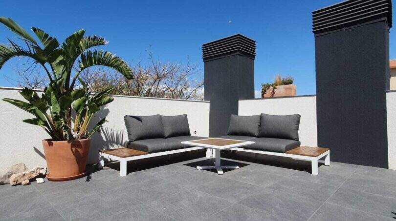 Sonnige Dachterrasse des Penthouses in Nou Llevant mit moderner Lounge-Möblierung und Tropenpalme